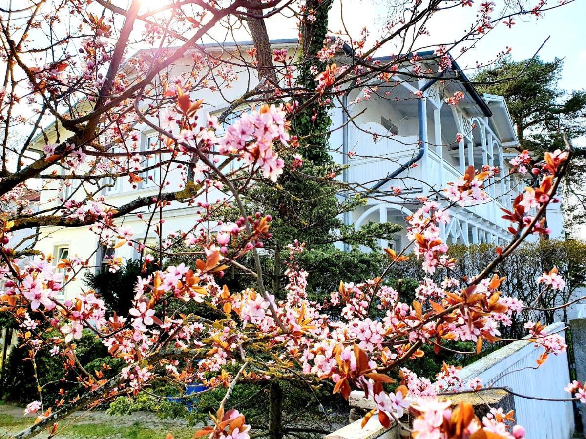 Villa Asta Binz Dış mekan fotoğraf